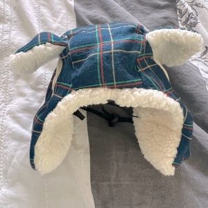 Dog winter hat